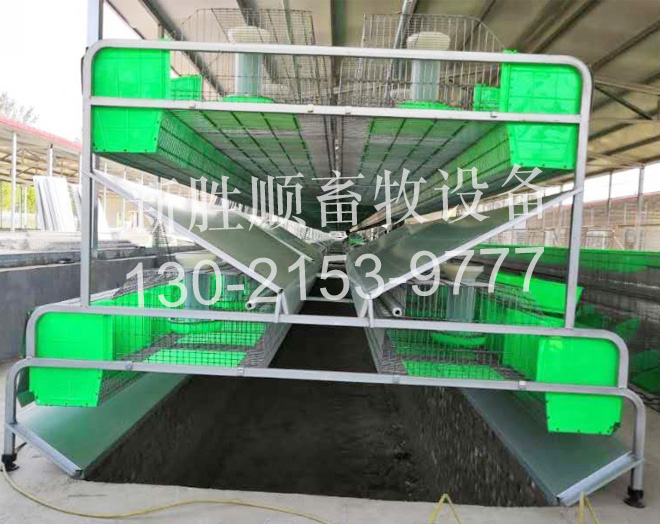 双层产箱兔笼