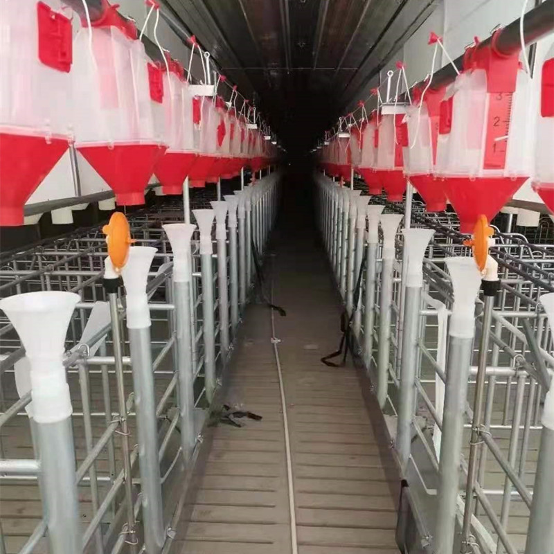 猪自动喂料系统